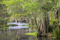 Charleston_Color_20230331_2069+1_Helicon_edit